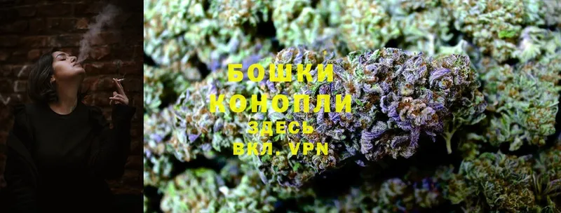 Марихуана OG Kush  наркошоп  Опочка 